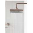 Newport Brass Luxnetic: Luxnetic Multifunction Showerhead
