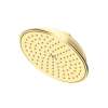 Newport Brass Other: Rainfall Shower Head
