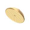 Newport Brass Other: Rainfall Shower Head