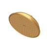 Newport Brass Other: Rainfall Shower Head