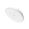 Newport Brass Other: Rainfall Shower Head