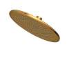 Newport Brass Other: Rainfall Shower Head
