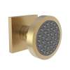 Newport Brass Other: Body Spray
