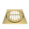 Newport Brass Brasstech: Shower Drain Trim Set