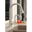 Newport Brass Vespera(R): Pull-Down Kitchen Faucet