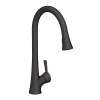 Newport Brass Vespera(R): Pull-Down Kitchen Faucet