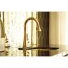 Newport Brass Vespera(R): Prep/Bar Pull Down Faucet