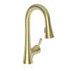 Newport Brass Vespera(R): Prep/Bar Pull Down Faucet