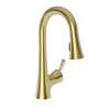 Newport Brass Vespera(R): Prep/Bar Pull Down Faucet