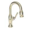 Newport Brass Nadya(R): Prep/Bar Pull Down Faucet