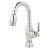 Newport Brass Nadya(R): Prep/Bar Pull Down Faucet