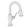 Newport Brass Nadya(R): Prep/Bar Pull Down Faucet