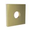 Newport Brass Other: Shower Arm Flange