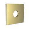 Newport Brass Other: Shower Arm Flange