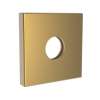 Newport Brass Other: Shower Arm Flange