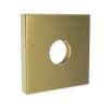 Newport Brass Other: Shower Arm Flange