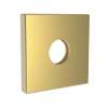 Newport Brass Other: Shower Arm Flange