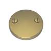 Newport Brass Brasstech: Waste & Overflow Faceplate