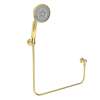 Newport Brass Other: Multifunction Hand Shower Set