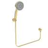 Newport Brass Other: Multifunction Hand Shower Set