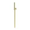 Newport Brass Other: Single Function Hand Shower Set