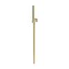 Newport Brass Other: Single Function Hand Shower Set