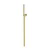 Newport Brass Other: Single Function Hand Shower Set
