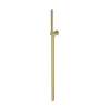 Newport Brass Other: Single Function Hand Shower Set
