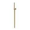 Newport Brass Other: Single Function Hand Shower Set