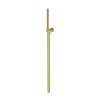 Newport Brass Other: Single Function Hand Shower Set