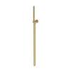 Newport Brass Other: Single Function Hand Shower Set