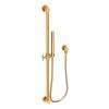 Newport Brass Other: Slide Bar with Single Function Hand Shower Set