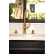Newport Brass Taft: Pull-Down Kitchen Faucet