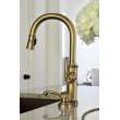 Newport Brass Taft: Pull-Down Kitchen Faucet