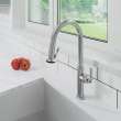 Newport Brass Taft: Pull-Down Kitchen Faucet - Trigger Spray
