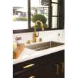 Newport Brass Taft: Air Activated Disposer Switch