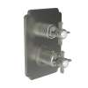 Newport Brass Chesterfield(R): 1/2" Square Thermostatic Trim Plate with Handle