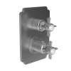 Newport Brass Chesterfield(R): 1/2" Square Thermostatic Trim Plate with Handle