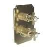 Newport Brass Chesterfield(R): 1/2" Square Thermostatic Trim Plate with Handle