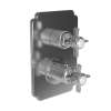 Newport Brass Chesterfield(R): 1/2" Square Thermostatic Trim Plate with Handle
