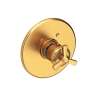 Newport Brass Miro: 3/4" Round Thermostatic Trim Plate with Handle