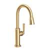 Newport Brass Zemora(R): Pull-Down Kitchen Faucet