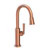 Newport Brass Zemora(R): Pull-Down Kitchen Faucet