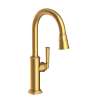 Newport Brass Zemora(R): Pull-Down Kitchen Faucet