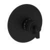 Newport Brass Miro: 3/4" Round Thermostatic Trim Plate with Handle