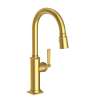 Newport Brass Adams(R): Pull-Down Kitchen Faucet