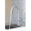 Newport Brass Adams(R): Pull-Down Kitchen Faucet