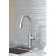 Newport Brass Adams(R): Pull-Down Kitchen Faucet