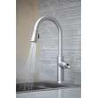 Newport Brass Adams(R): Pull-Down Kitchen Faucet