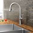 Newport Brass Adams(R): Pull-Down Kitchen Faucet